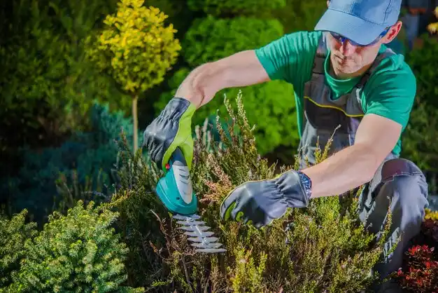 landscaping services Maysville